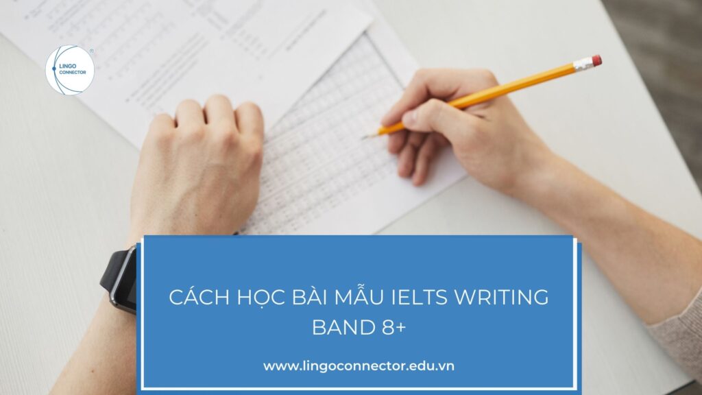 Cách học bài mẫu ielts writing