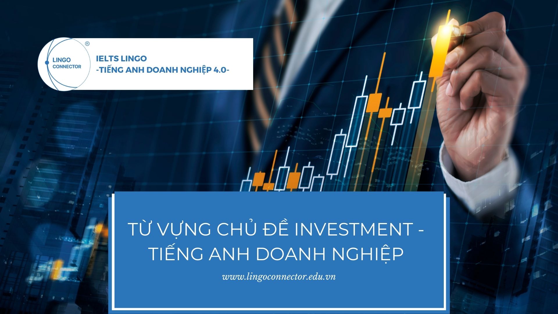 tu-vung-investment-TADN